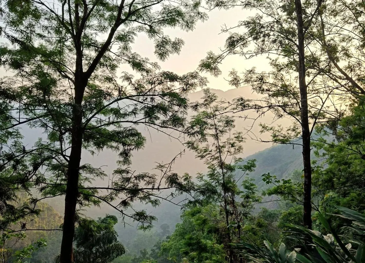 Evara By The Offbeat Crew Idukki Ινδία